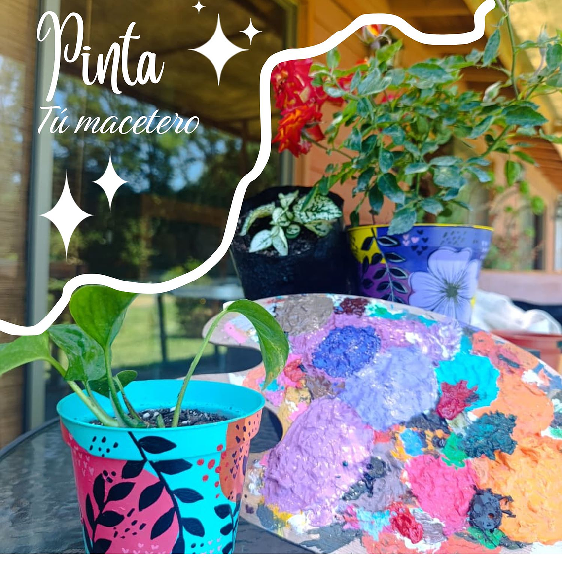 Taller Pinta tu Macetero🌱🎨 1