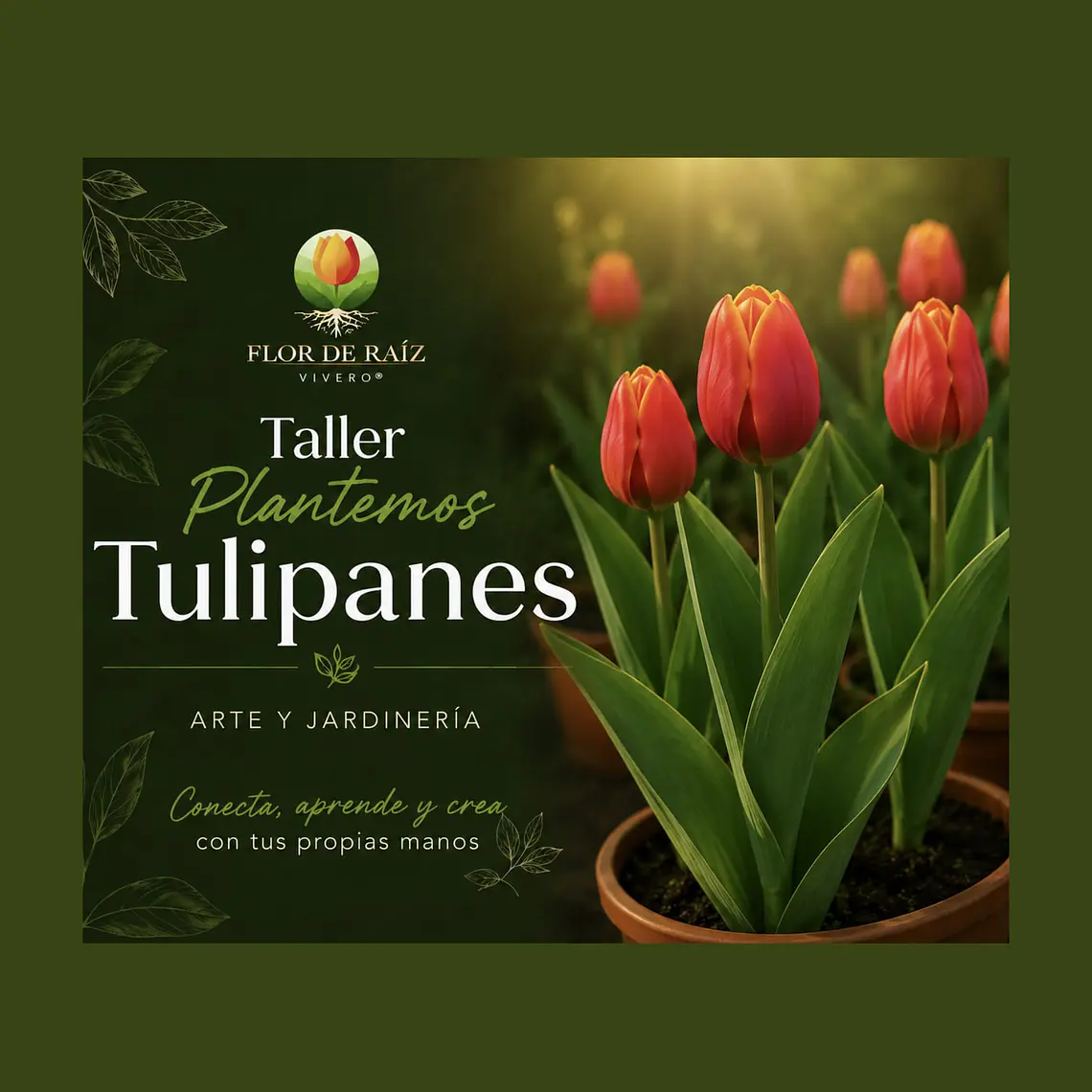 Taller Plantemos Tulipanes 1