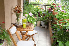 Descubre las plantas perfectas para tener un hermoso jardín en tu departamento