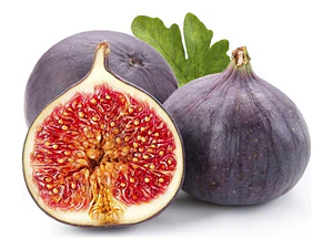 Higuera Negra Frutal 