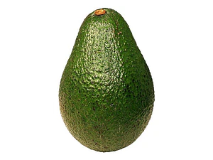 Palta Palto Hass Árbol Frutal Injertado
