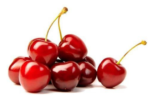 Cerezo Lapins Árbol Frutal Injertado 1