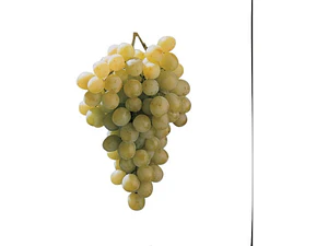 Parra De Uva Torontel Árbol Frutal Injertado
