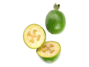 Feijoa Arbol Planta Frutal Exótica