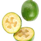 Feijoa Arbol Planta Frutal Exótica - Miniatura 1