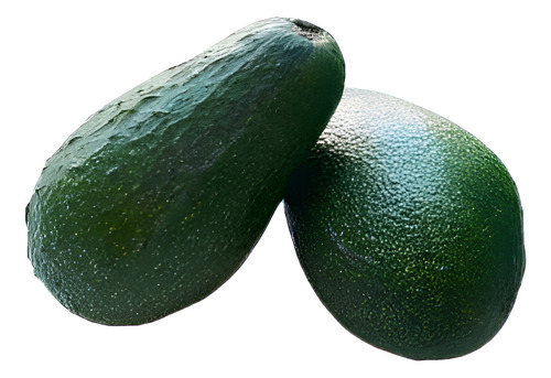 Palta Palto Californiano Árbol Frutal Injertado 1