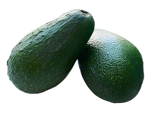 Palta Palto Californiano Árbol Frutal Injertado