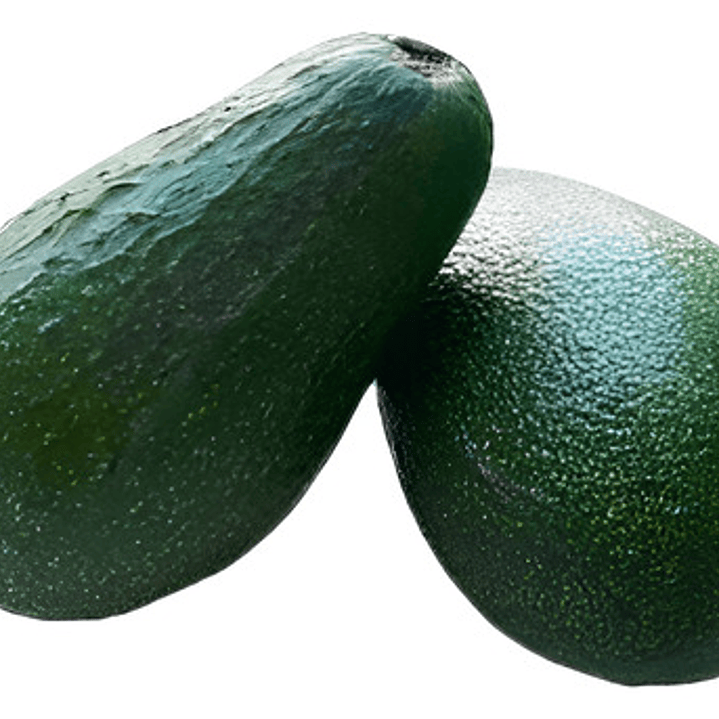 Palta Palto Californiano Árbol Frutal Injertado 1