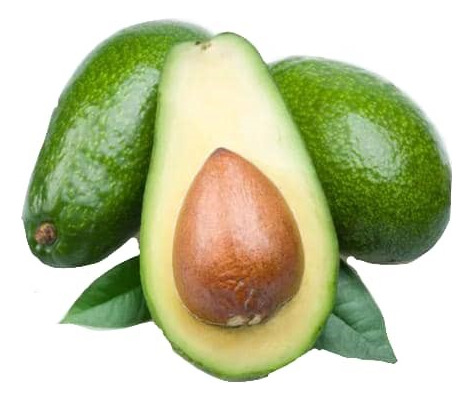 Palta Palto Californiano Árbol Frutal Injertado 3