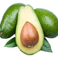 Palta Palto Californiano Árbol Frutal Injertado - Miniatura 3