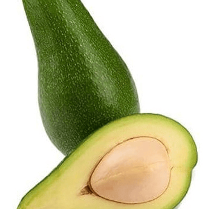 Palta Palto Californiano Árbol Frutal Injertado 4