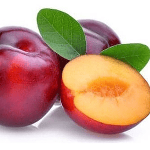 Ciruelo Santa Rosa Árbol Frutal Injertado