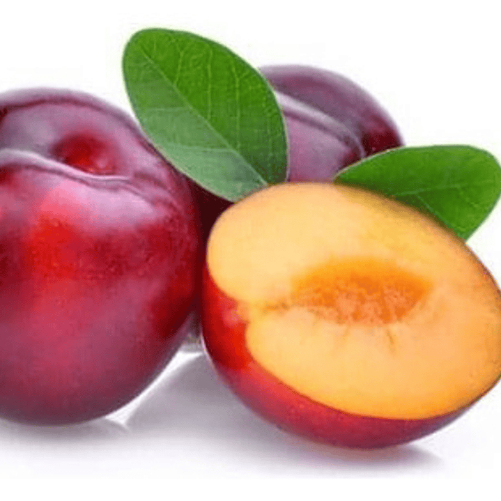 Ciruelo Santa Rosa Árbol Frutal Injertado 1