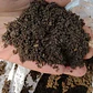 Tierra De Hojas Saco De 25 Litros / 25 Kilogramos - Miniatura 2