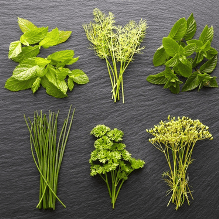 Pack 20 Sobres Semillas Hierba Variedades 1