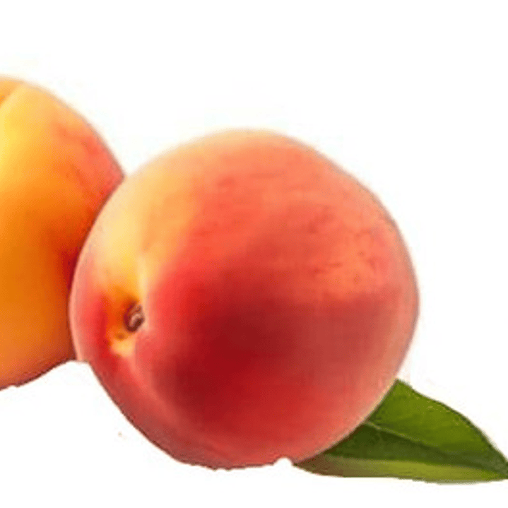 Durazno Nectarín Platano / Árbol Frutal Injertado 1