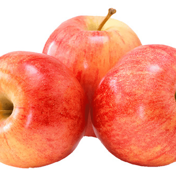 Manzano Fuji Árbol Frutal Injertado 1