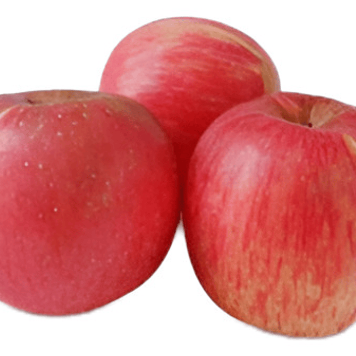 Manzano Fuji Árbol Frutal Injertado 2