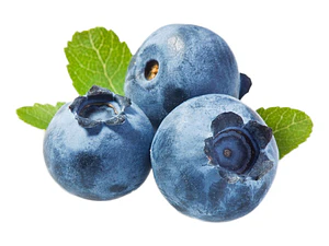 Arandano Árbol Frutal 