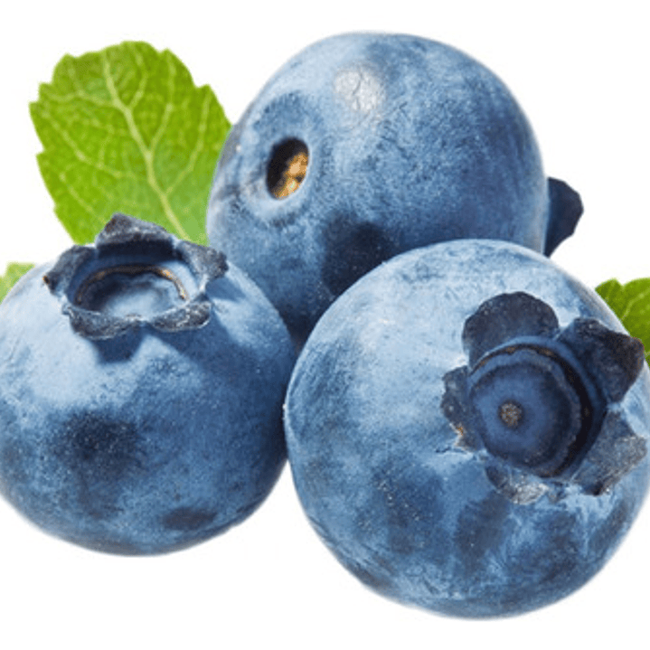 Arandano Árbol Frutal  1