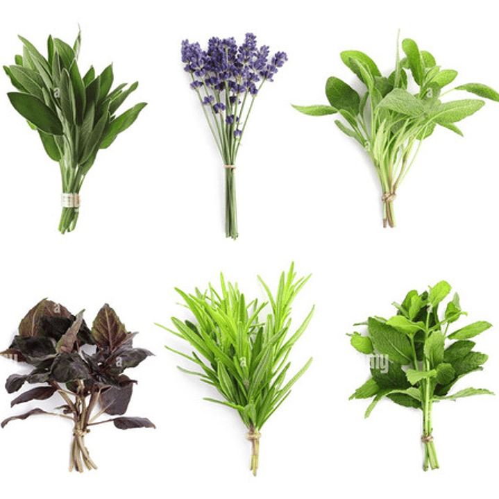 Pack 30 Sobres Semillas Hierba Variedades 1