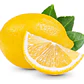 Limón Eureka Limonero Frutal Injertado - Miniatura 2