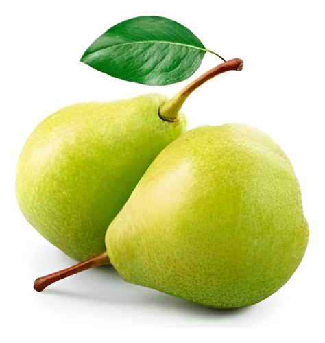 Peral Packham's Árbol Frutal Injertado 1