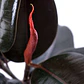 Gomero Ficus Burgundy Elástica S Planta Interior  - Miniatura 3