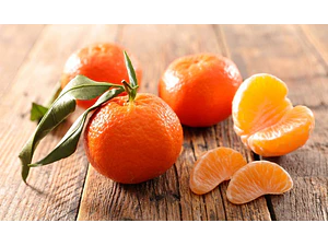 Mandarino Con Frutos Mandarina Árbol Frutal Injertado