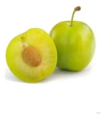 Ciruelo Reina Claudia Árbol Frutal Injertado 1