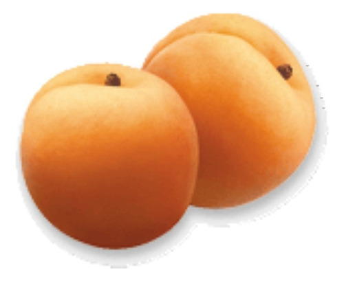 Damasco Dina Árbol Frutal Injertado 1