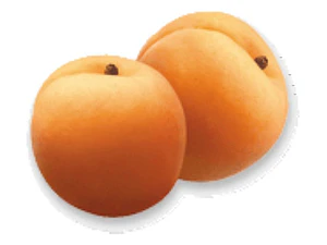 Damasco Dina Árbol Frutal Injertado