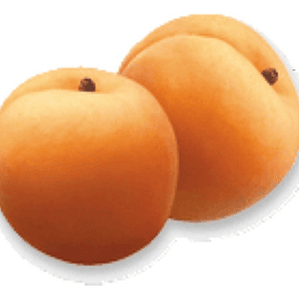 Damasco Dina Árbol Frutal Injertado