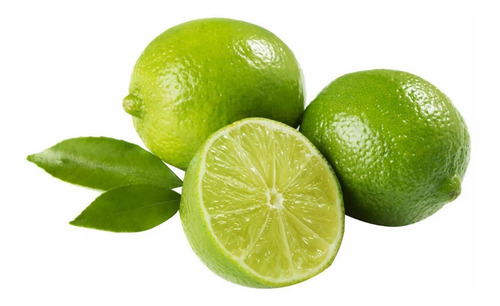 Limón Sutil De Gaza Limonero Frutal Injertado 1