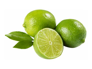 Limón Sutil De Gaza Limonero Frutal Injertado