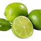Limón Sutil De Gaza Limonero Frutal Injertado - Miniatura 1