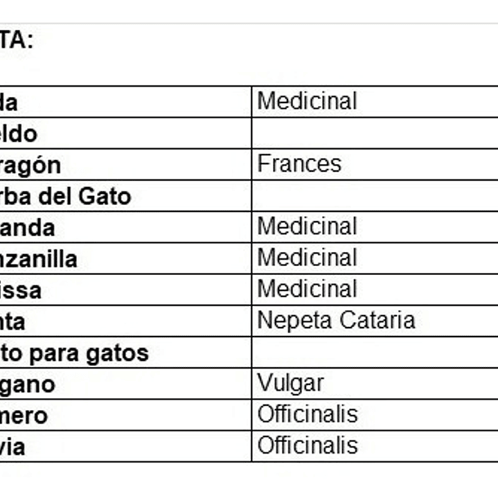 Pack 10 Sobres Semillas Hierba Variedades 3
