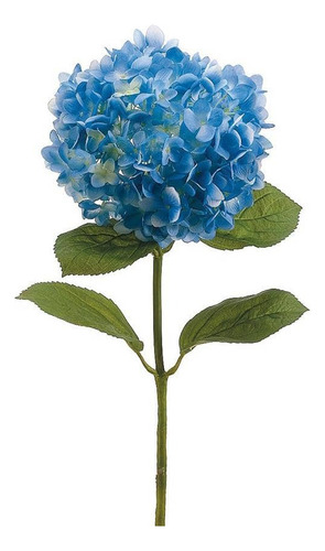 Hortencia Planta Ornamental 1