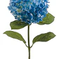 Hortencia Planta Ornamental - Miniatura 1