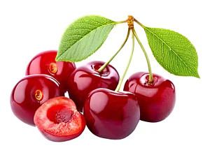 Cerezo Santina Árbol Frutal Injertado