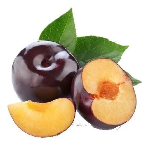 Ciruelo Larry Ann Árbol Frutal Injertado 1