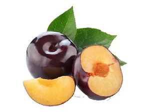 Ciruelo Larry Ann Árbol Frutal Injertado