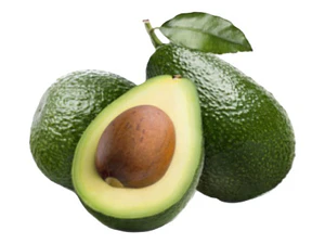 Palta Palto Edranol Árbol Frutal Injertado