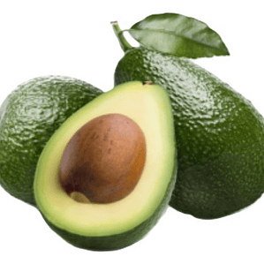 Palta Palto Edranol Árbol Frutal Injertado