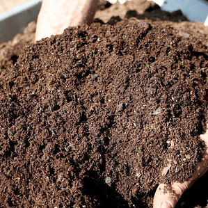 Tierra Compost Orgánico 2 Litros / 2 Kilogramos
