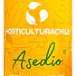 Asedio Jabón Potásico Aceite De Neem Ecológico 1 L Insectici - Miniatura 1