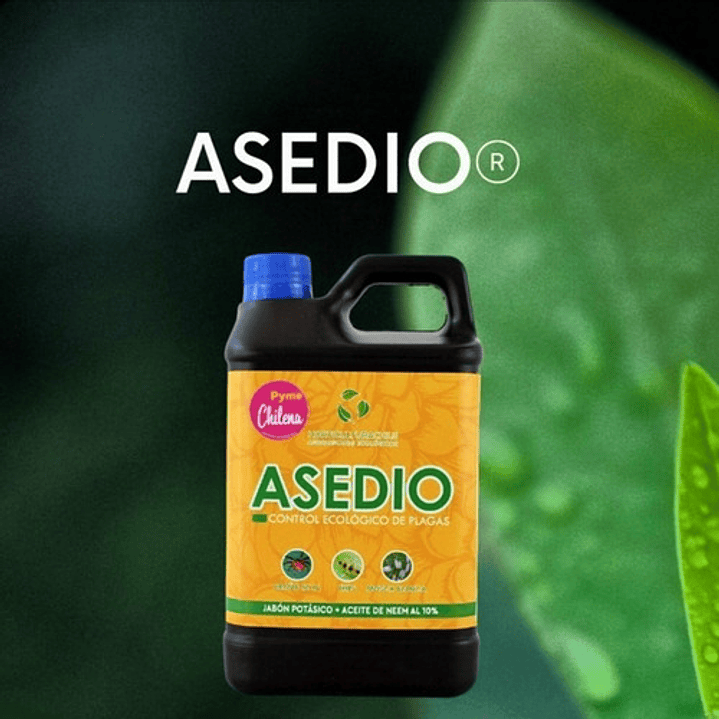 Asedio Jabón Potásico Aceite De Neem Ecológico 1 L Insectici 2