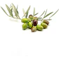 Olivo Sevillano Árbol Frutal - Miniatura 1