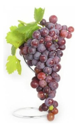 Parra De Uva Red Globe Árbol Frutal Injertado 1