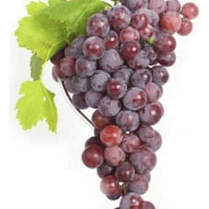 Parra De Uva Red Globe Árbol Frutal Injertado